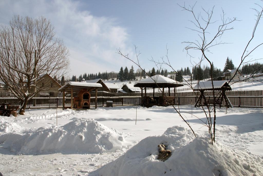 Pensiunea Viodor Vatra Dornei Exterior foto